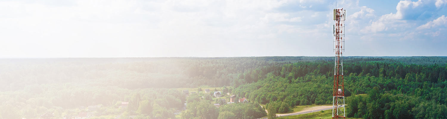 Header Image