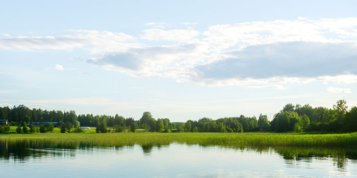 Header Image